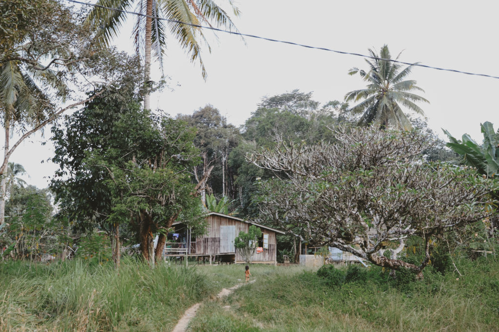 indigenous gerik perak