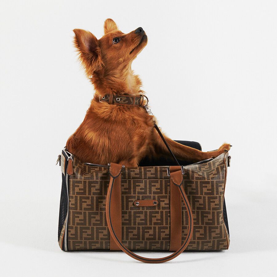 fendi pet accessories