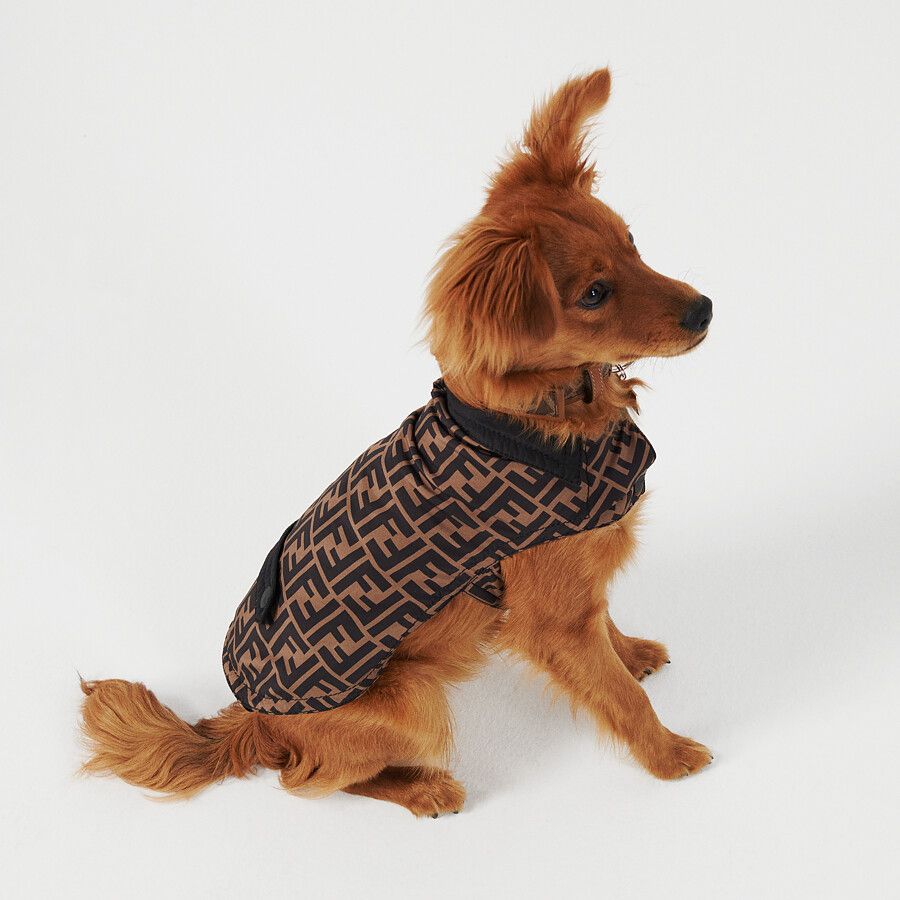 fendi pet accessories