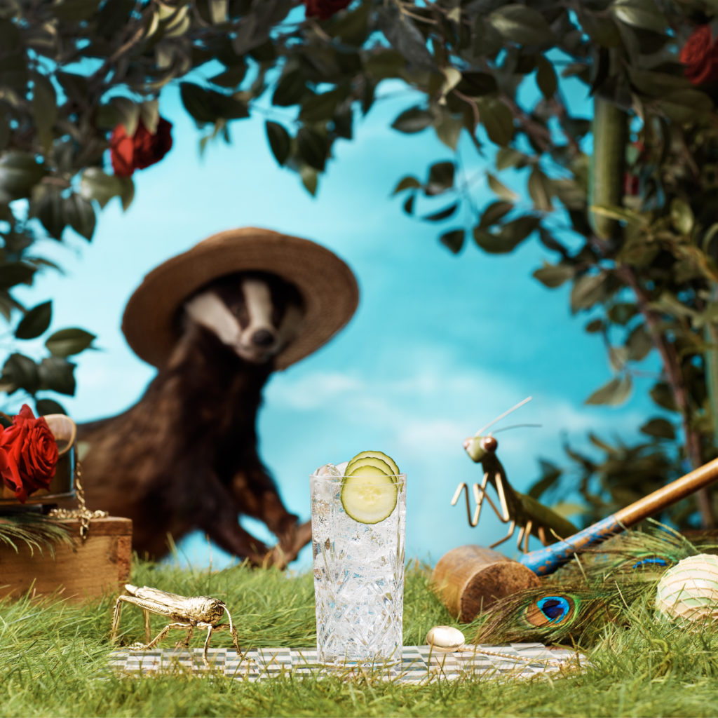 world cucumber day