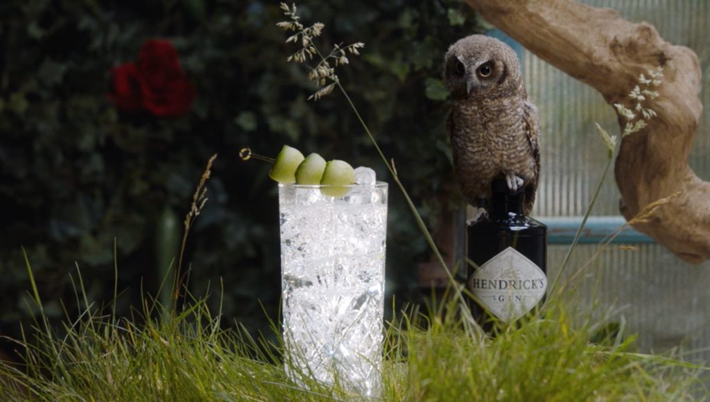 hendrick's gin