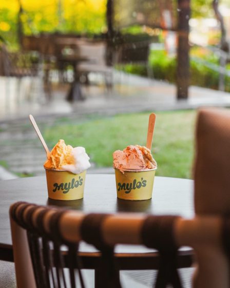 Mylo's