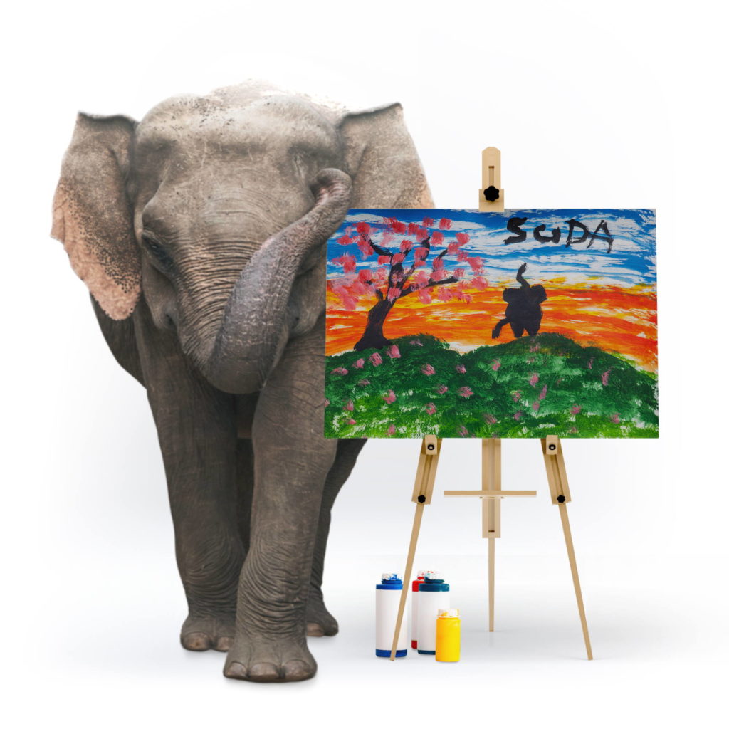 Suda painting