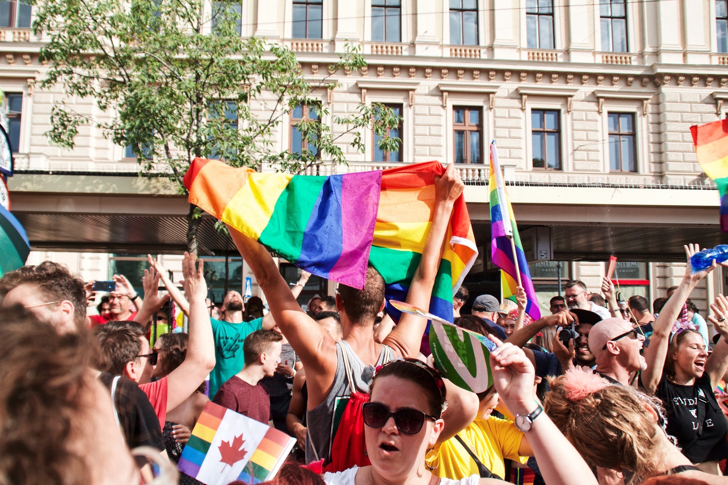LGBTQIA+ terms