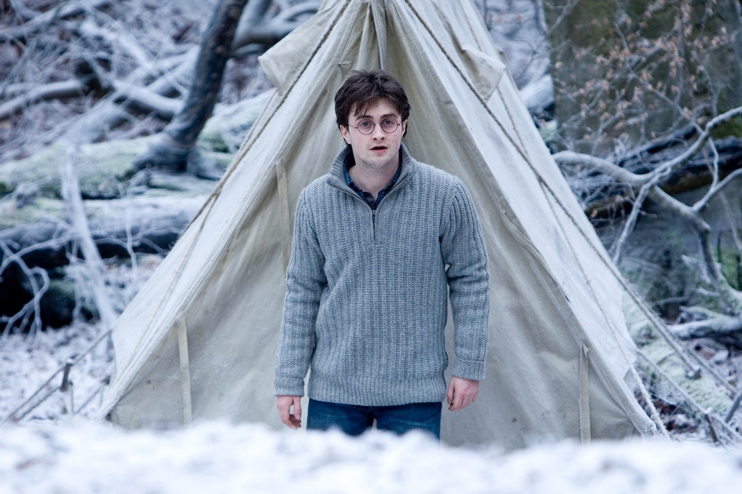 lesser-known facts about Harry Potter