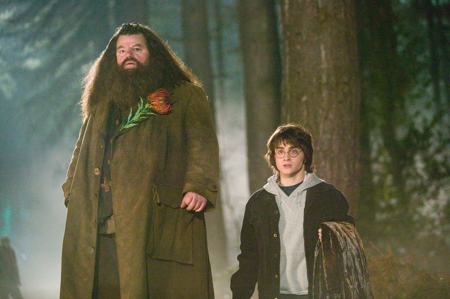 lesser-known facts about Harry Potter